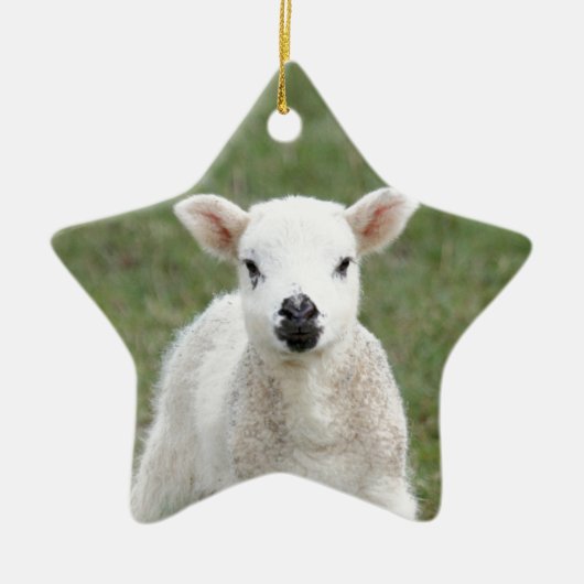 Lamb Keramisch Ornament (Voorkant)