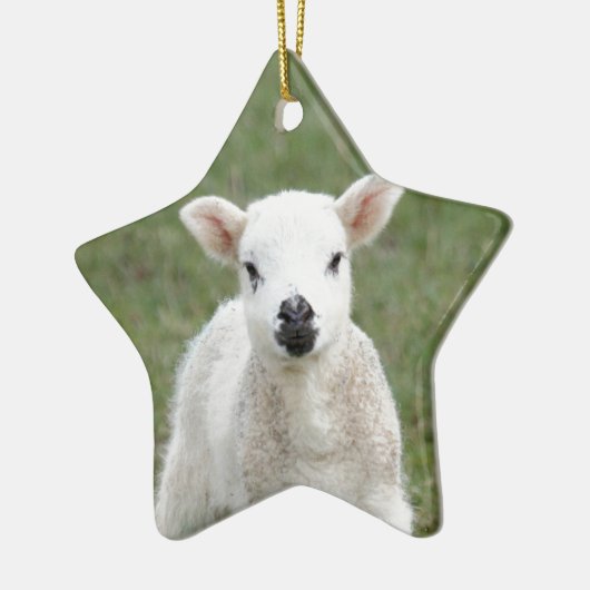 Lamb Keramisch Ornament (Links)