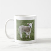 LAMB KOFFIEMOK (Links)