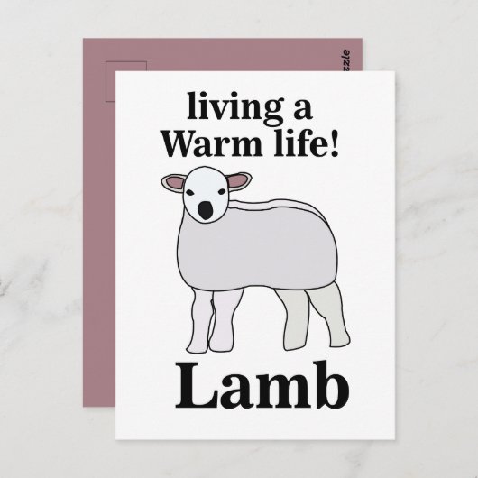Lamb Living Een Warm Leven Grappig Lam Briefkaart (Voorkant / Achterkant)