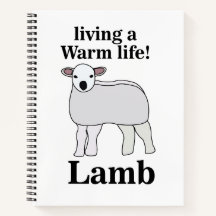 Lamb Living Een Warm Leven Grappig Lam
