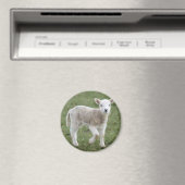 LAMB MAGNEET (Insitu (Vaatwasser))