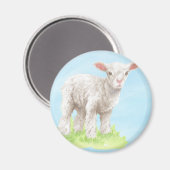 Lamb Magnet (Voorkant / Achterkant)