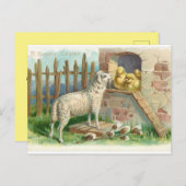 Lamb met Briefkaart voor de dag van de dag van de  (Voorkant / Achterkant)