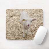 Lamb Muismat (Met muis)