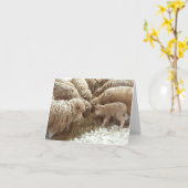 Lamb Note Kaart (Gele Bloem)