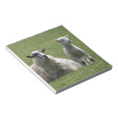 Lamb Notitieblok (Schuin)