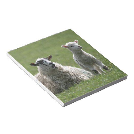 Lamb Notitieblok (Schuin)