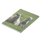 Lamb Notitieblok (Linkerzijde)
