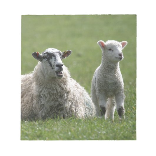 Lamb Notitieblok (Voorkant)