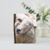 Lamb of God Christelijke Art Post Card Briefkaart (Staand voorkant)