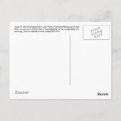 Lamb of God Christelijke Art Post Card Briefkaart (Achterkant)