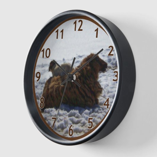 Lamb op schapen (Hoek)