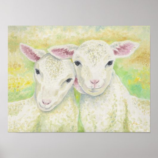 Lamb Pair Poster (Voorkant)