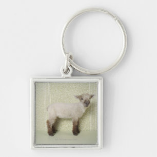 Lamb Permanent binnenshuis en bloembehangsel Sleutelhanger