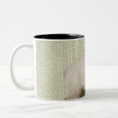 Lamb Permanent binnenshuis en bloembehangsel Tweekleurige Koffiemok (Links)