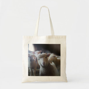 Lamb Photo Tas