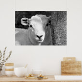 LAMB POSTER (Keuken)