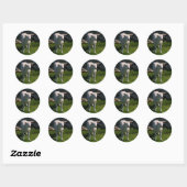 Lamb Ronde Sticker (Vel)