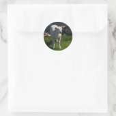 Lamb Ronde Sticker (Tas)