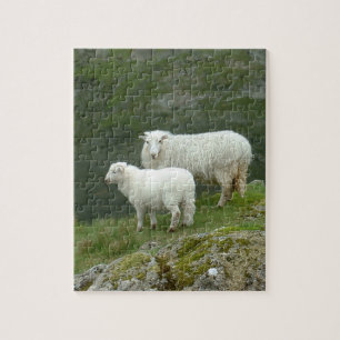 Lamb & Sheep - Schotland/Brits platteland Legpuzzel