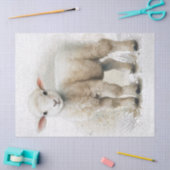 Lamb Sheep Waterverf Tissuepapier (Craft)