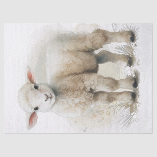 Lamb Sheep Waterverf Tissuepapier (Voorkant)