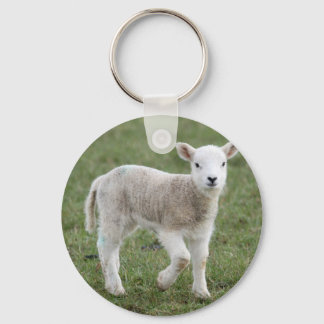 LAMB SLEUTELHANGER