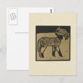 Lamb - Square Animals Illustratie Briefkaart (Voorkant / Achterkant)