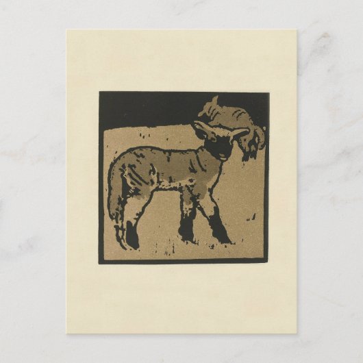 Lamb - Square Animals Illustratie Briefkaart (Voorkant)