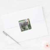 Lamb Square Sticker (Envelop)