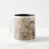 Lamb Tweekleurige Koffiemok (Voorkant links)