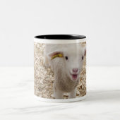 Lamb Tweekleurige Koffiemok (Center)