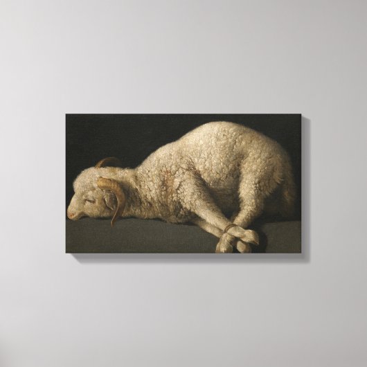 Lamb van God (Agnus Dei) (Sacrificaal dier) Canvas Afdruk (Voorkant)