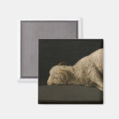 Lamb van God (Agnus Dei) (Sacrificaal dier) Magneet (Voorkant / Achterkant)