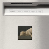 Lamb van God (Agnus Dei) (Sacrificaal dier) Magneet (Insitu (Vaatwasser))