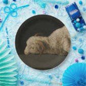 Lamb van God (Agnus Dei) (Sacrificaal dier) Papieren Bordje (Feest)