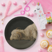 Lamb van God (Agnus Dei) (Sacrificaal dier) Papieren Bordje (Feest)