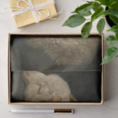 Lamb van God (Agnus Dei) (Sacrificaal dier) Tissuepapier (Geschenk)