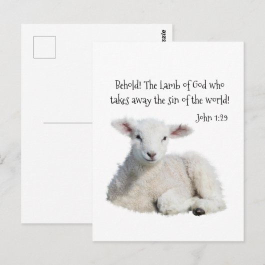 Lamb van God Briefkaart (Voorkant / Achterkant)