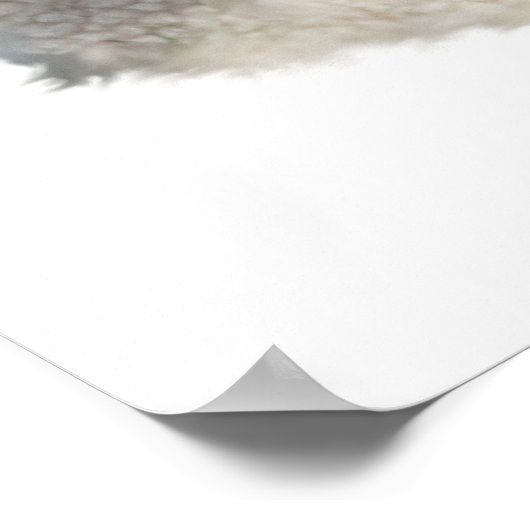 Lamb van God Poster (Hoek)