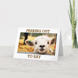 LAMB ZEGT: "HEB EEN HEEL GELUKKIGE VERJAARDAG" FEESTDAGEN KAART