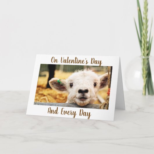 LAMB ZEGT "IK HOEF U" VALENTIJN KAART (Voorkant)