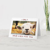 LAMB ZEGT OP HALLOWEEN: "IK HEB ALLEEN MAAR OGEN V FEESTDAGEN KAART (Voorkant)