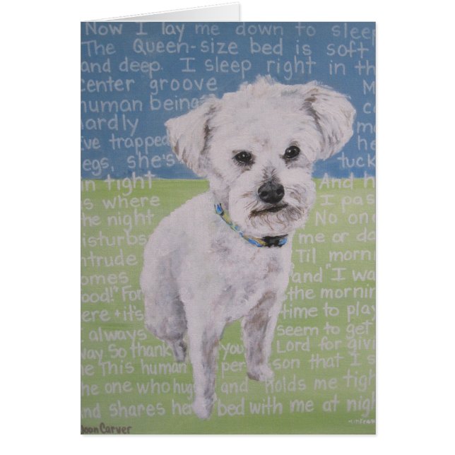 "Lambchop" (Voorkant)