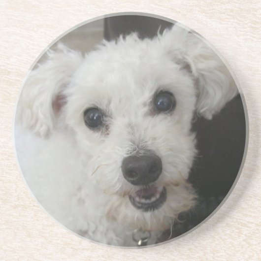 Lambchop II Zandsteen Onderzetter (Voorkant)