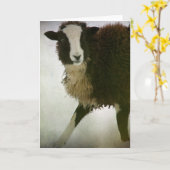Lambchops Kaart (Gele Bloem)