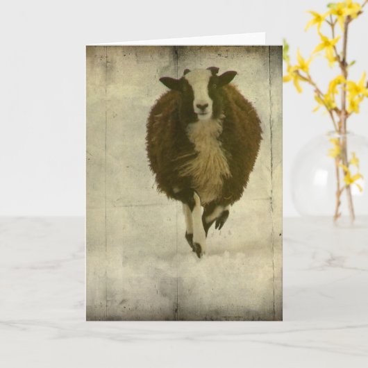 Lambchops Kaart (Gele Bloem)