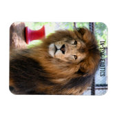 Lamber - magneet (Horizontaal)