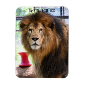 Lamber - magneet (Verticaal)